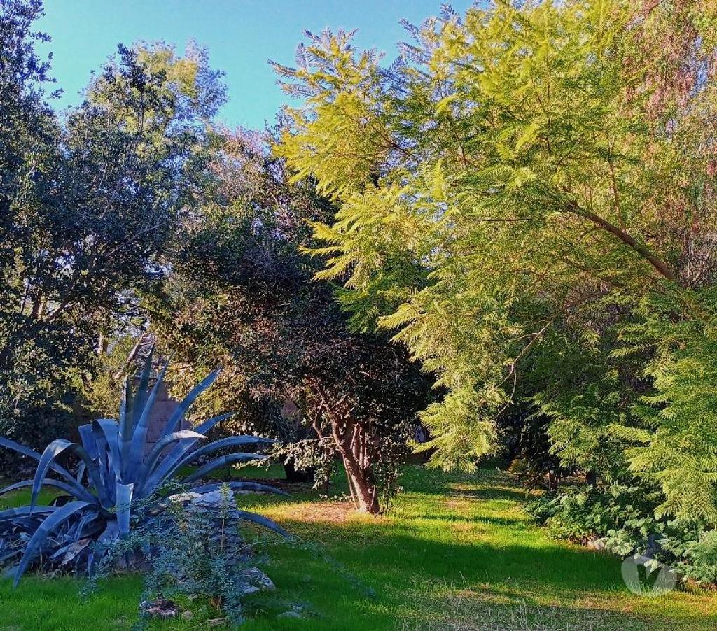 Bienes Raices Cachapoal San Vicente - Fotos de Linda parcela de agrado en el Tambo VI Región