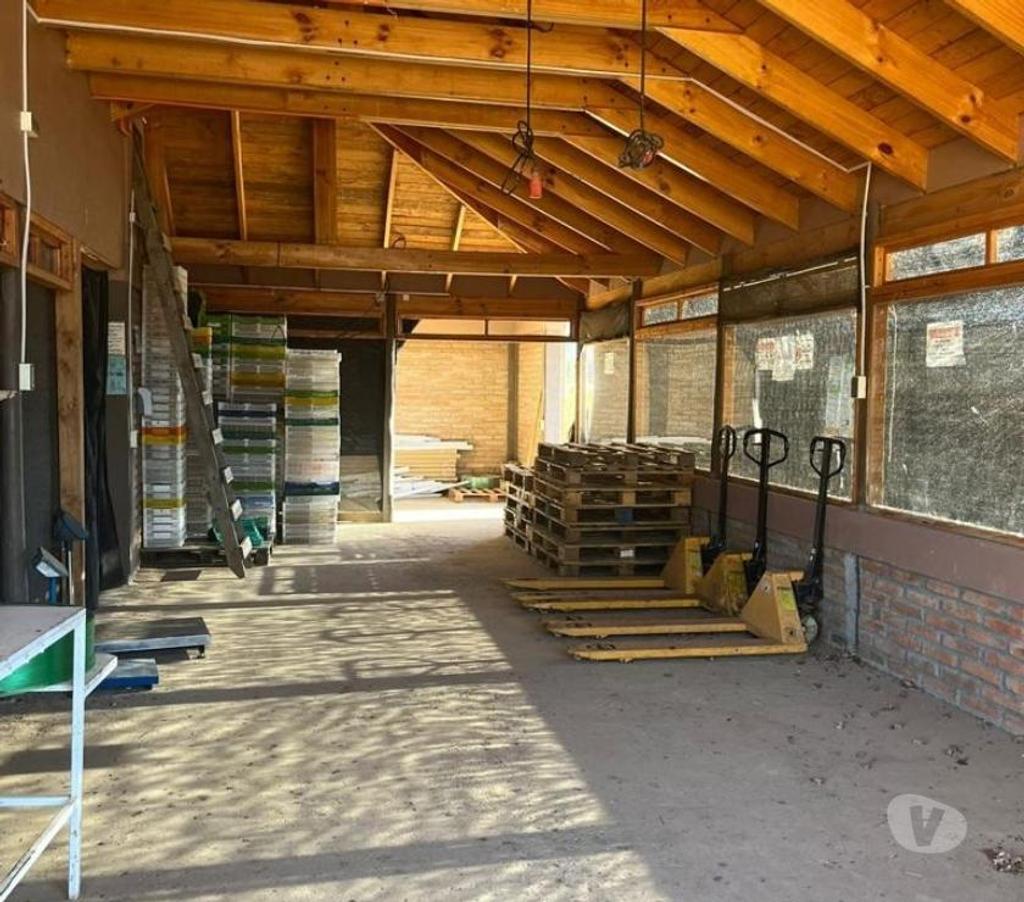 Venta de Haciendas Colchagua Pumanque - Fotos de Muy Buen Campo de 42 hás en Pumanque- Colchagua, con Agua