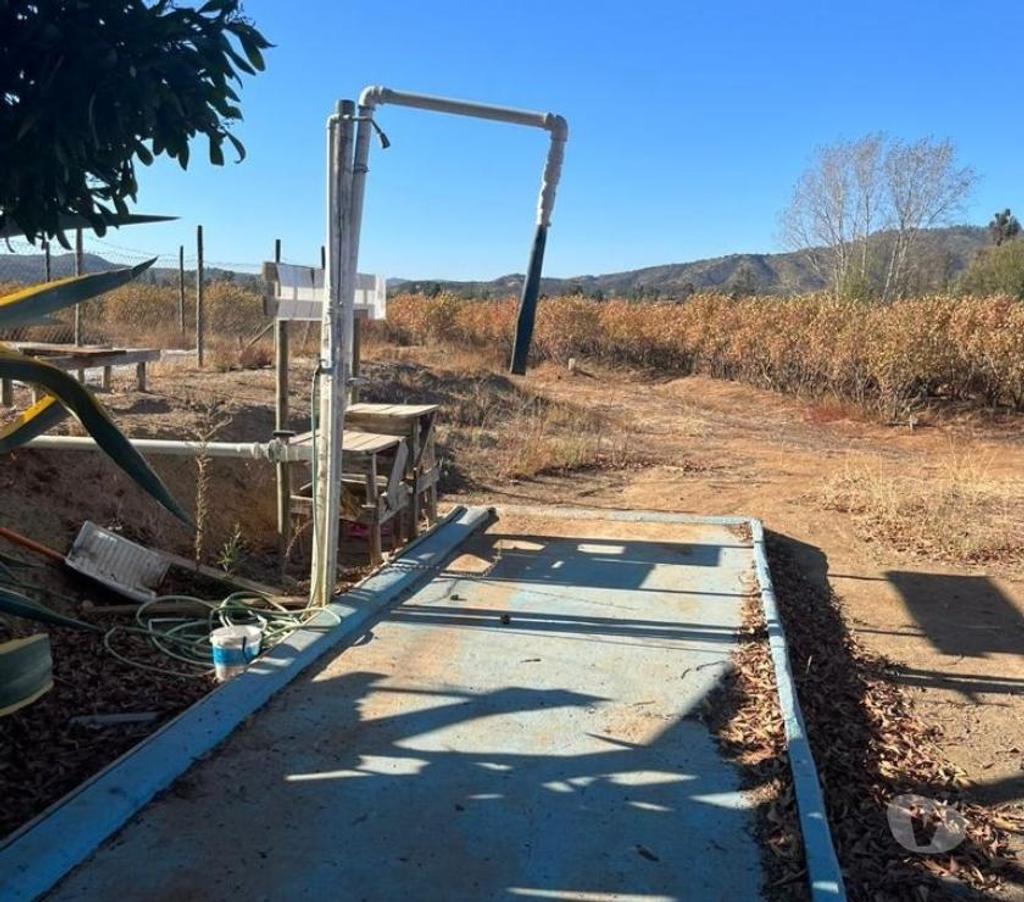 Venta de Haciendas Colchagua Pumanque - Fotos de Muy Buen Campo de 42 hás en Pumanque- Colchagua, con Agua