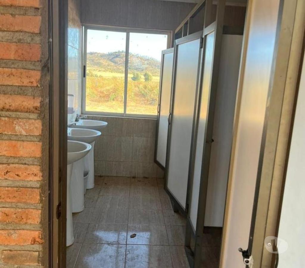 Venta de Haciendas Colchagua Pumanque - Fotos de Muy Buen Campo de 42 hás en Pumanque- Colchagua, con Agua