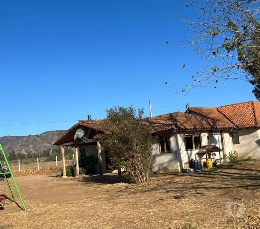 Venta de Haciendas Colchagua Pumanque - Fotos de Muy Buen Campo de 42 hás en Pumanque- Colchagua, con Agua