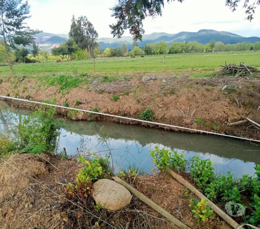 Parcelas en Venta Linares Longav - Fotos de Parcela 33 has. Aprox. Plana Agrícola. Longavi