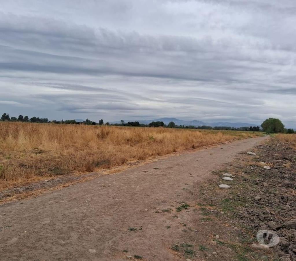 Parcelas en Venta Linares Longav - Fotos de Parcela 33 has. Aprox. Plana Agrícola. Longavi