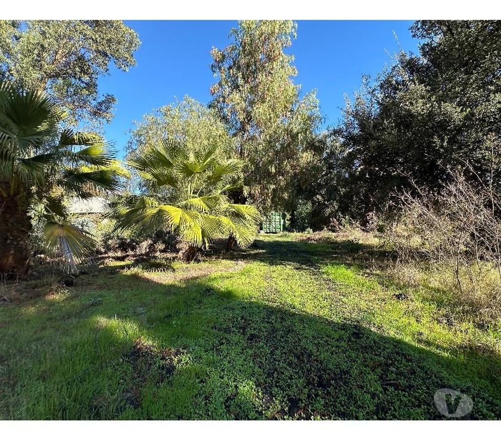 Parcelas en Venta San Felipe de Aconcagua Panquehue - Fotos de VENTA TERRENO CONDOMINIO SAN GABRIEL PANQUEHUE SAN FELIPE
