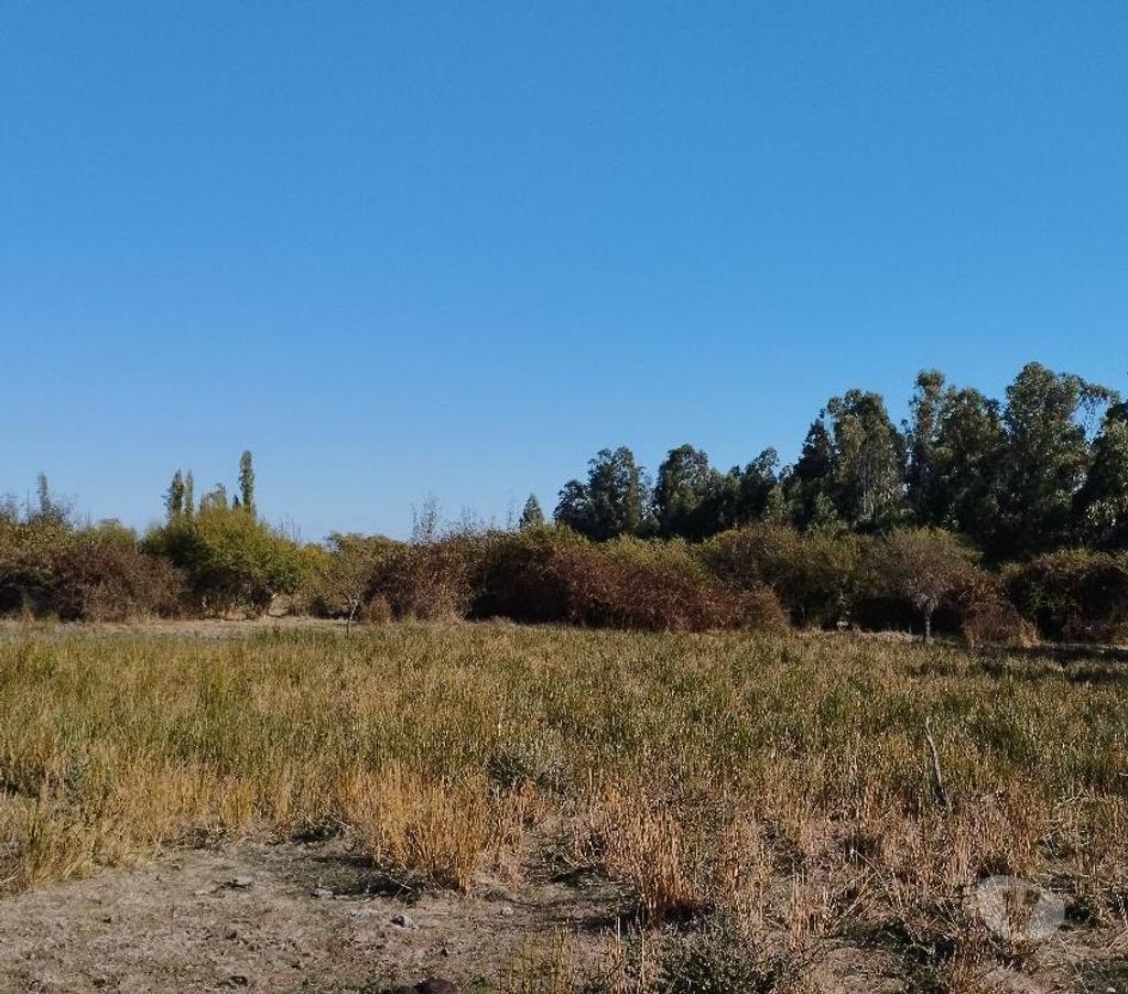 Parcelas en Venta Ñuble Bulnes - Fotos de VENDO TERRENO RURAL EN BULNES