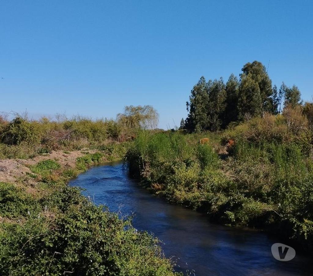Parcelas en Venta Ñuble Bulnes - Fotos de VENDO TERRENO RURAL EN BULNES