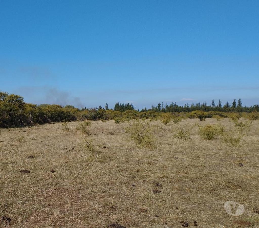 Parcelas en Venta Ñuble Bulnes - Fotos de VENDO TERRENO RURAL EN BULNES