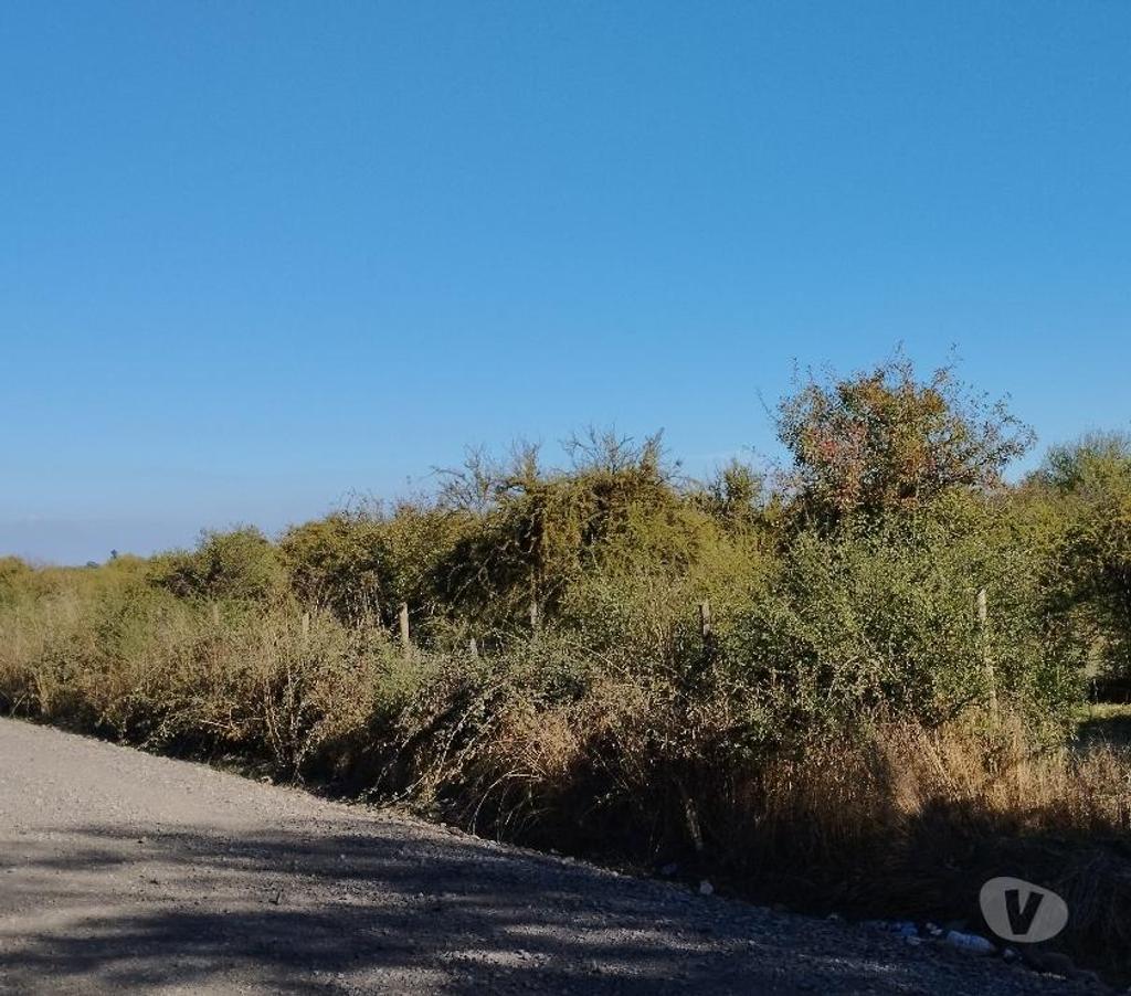 Parcelas en Venta Ñuble Bulnes - Fotos de VENDO TERRENO RURAL EN BULNES
