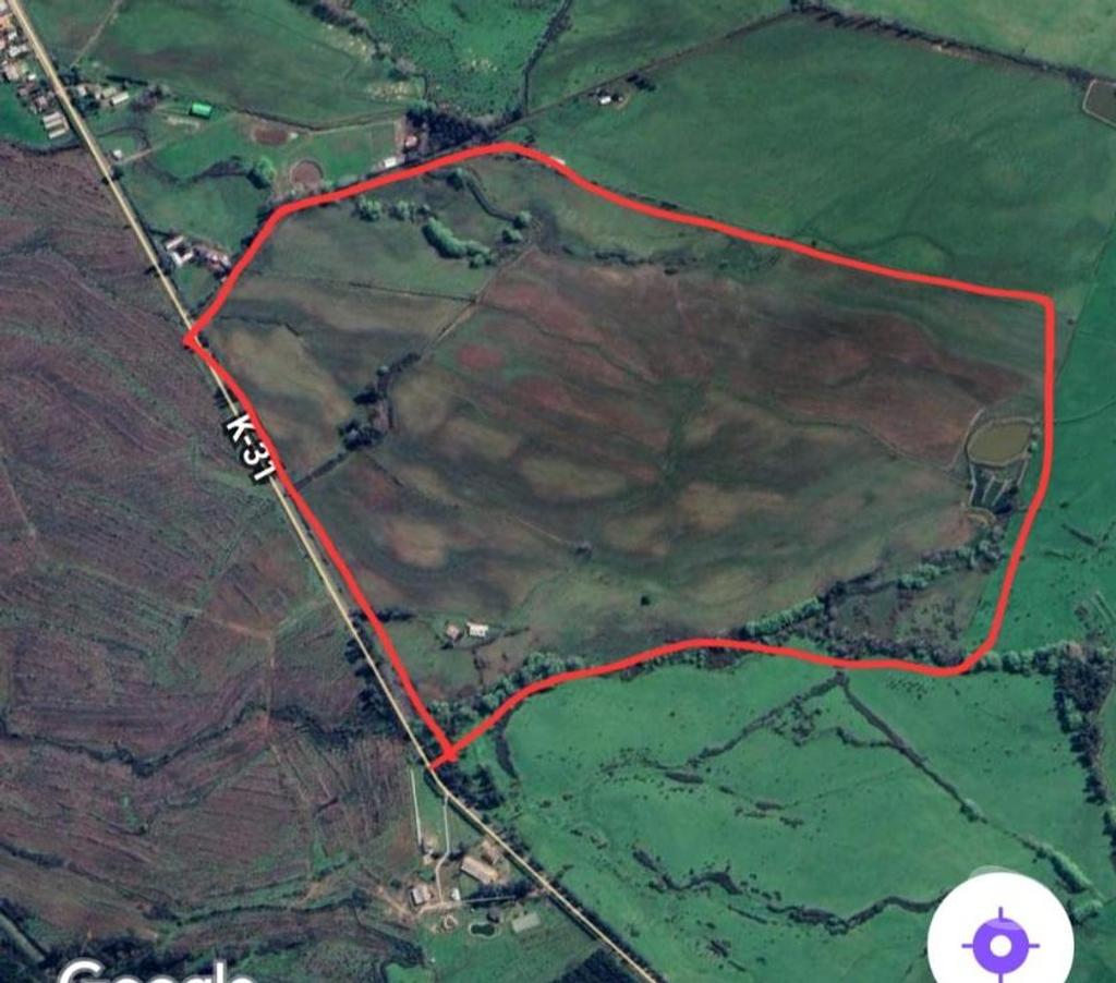 Venta de Haciendas Talca Río Claro - Fotos de Campo Plano de 58 hás en Camarico-Talca Apto para Cerezas