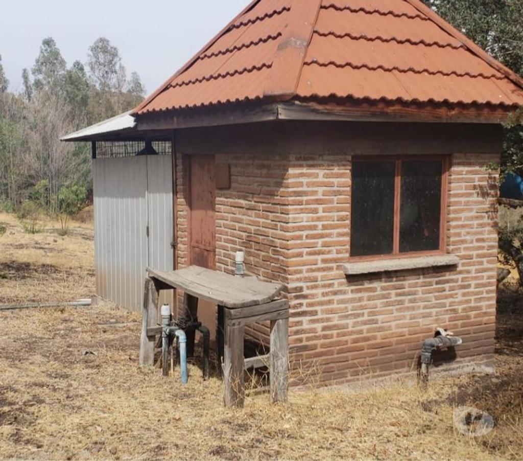Venta de Haciendas Chacabuco Colina - Fotos de Campo de 450 hás en Chacabuco-Colina con agua