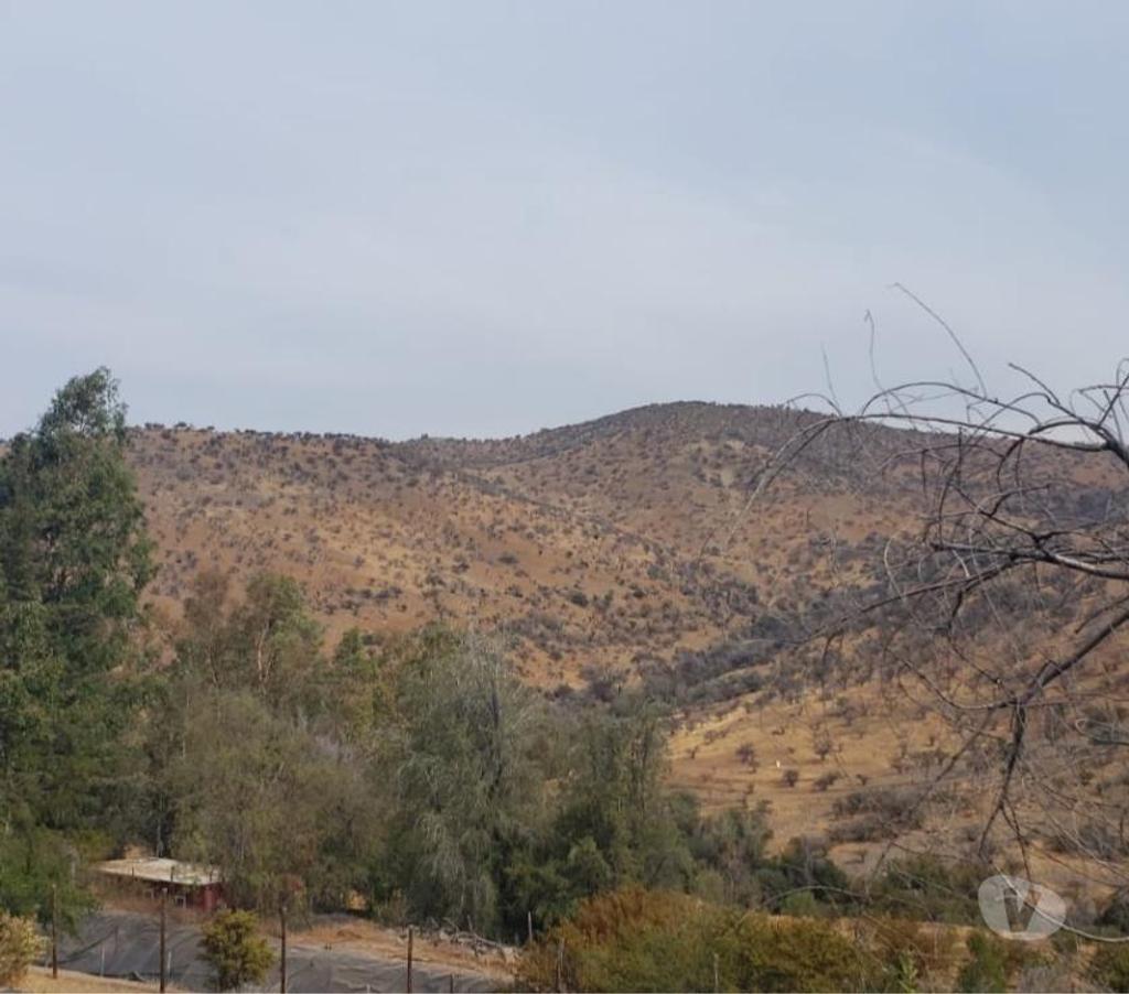 Venta de Haciendas Chacabuco Colina - Fotos de Campo de 450 hás en Chacabuco-Colina con agua