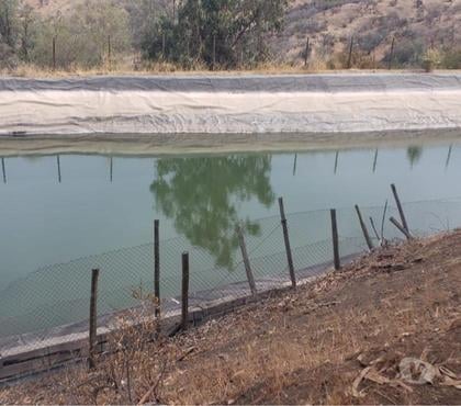 Campos-Fundos-Haciendas Colina Chacabuco - Fotos de Campo de 450 hás en Chacabuco-Colina con agua