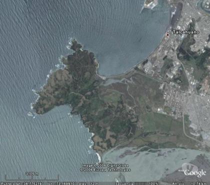 Terrenos en Venta Hualpén Concepción - Fotos de Espectacular Terreno de 8 hás cerca de Ramuntcho-Hualpén