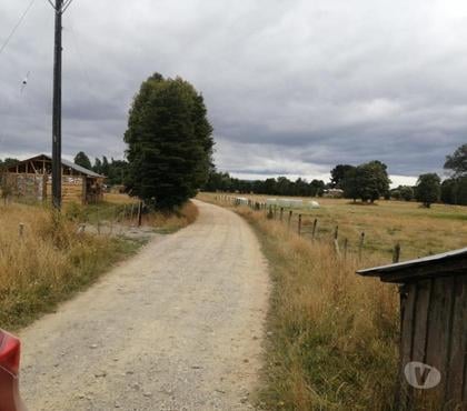 Venta de Fundos Los Muermos Llanquihue - Fotos de Vende campo de 3,49 hectáreas en Cañitas, Los Muermos