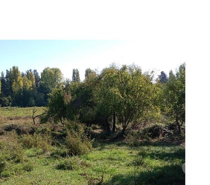 Parcelas Colbún Linares - Fotos de Lote de 1,3 hectáreas en Quinamávida centro