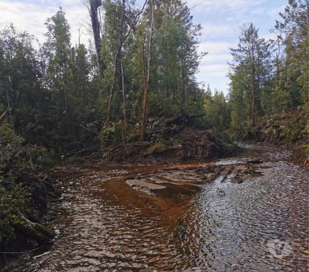 Venta de Haciendas Chiloé Quemchi - Fotos de Precioso Campo de 875 hás en Quemchi-Chiloé