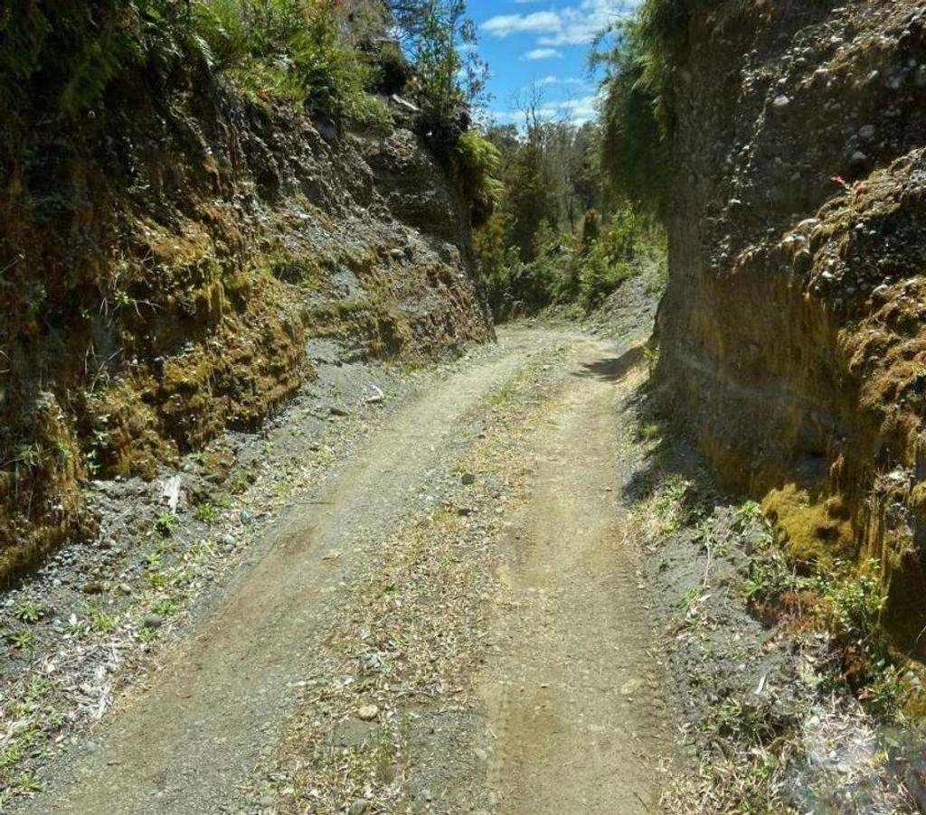 Venta de Haciendas Chiloé Quemchi - Fotos de Precioso Campo de 875 hás en Quemchi-Chiloé