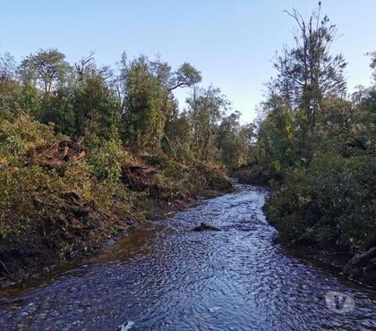 Haciendas en Venta Quemchi Chiloé - Fotos de Precioso Campo de 875 hás en Quemchi-Chiloé