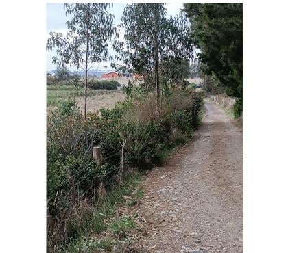 Terrenos en Venta Cobquecura Ñuble - Fotos de Los Maquis Bajo, Buchupureo.