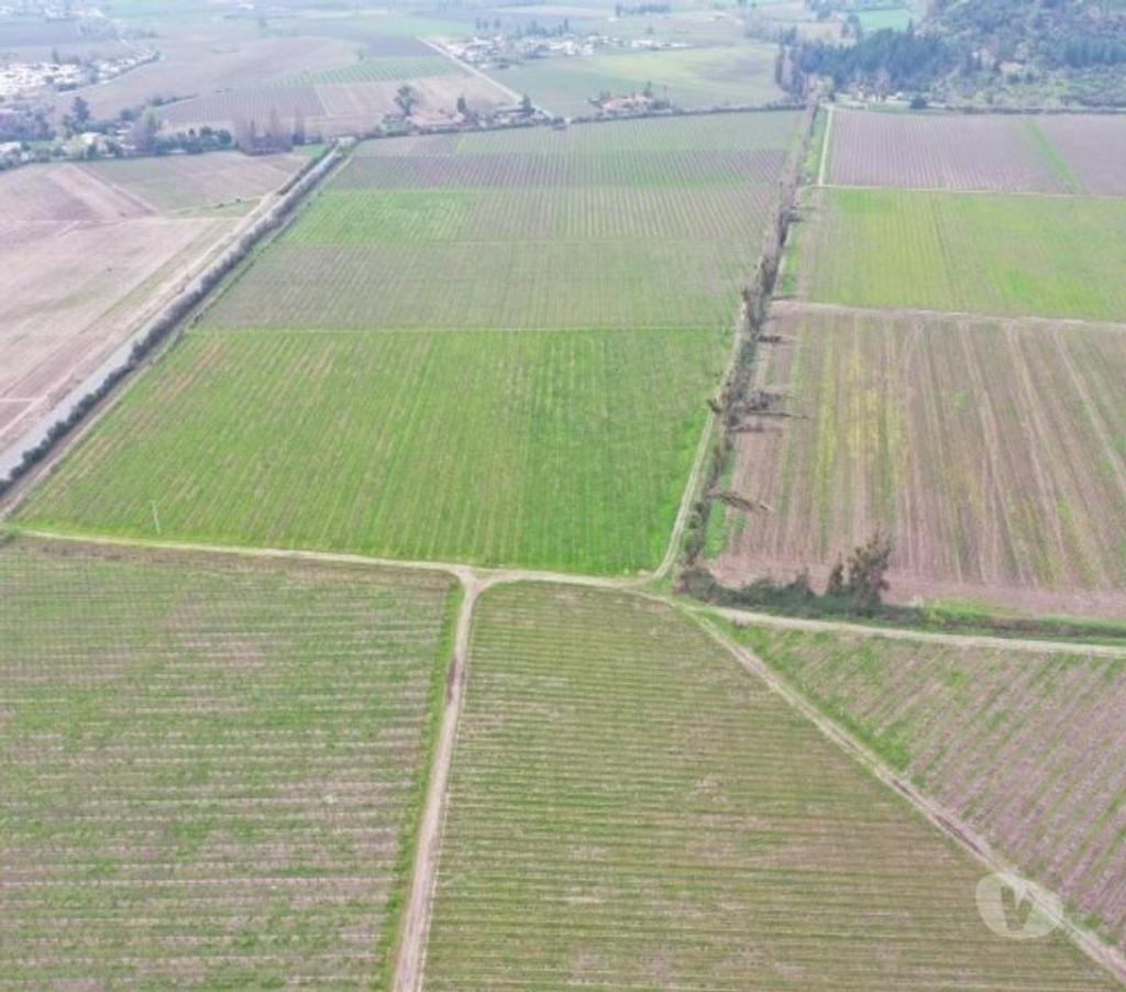 Venta de Haciendas Colchagua Nancagua - Fotos de Hermoso Campo de 213 hás Nancagua (Colchagua) con agua