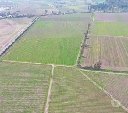 Campos en Venta Nancagua Colchagua - Fotos de Hermoso Campo de 213 hás Nancagua (Colchagua) con agua