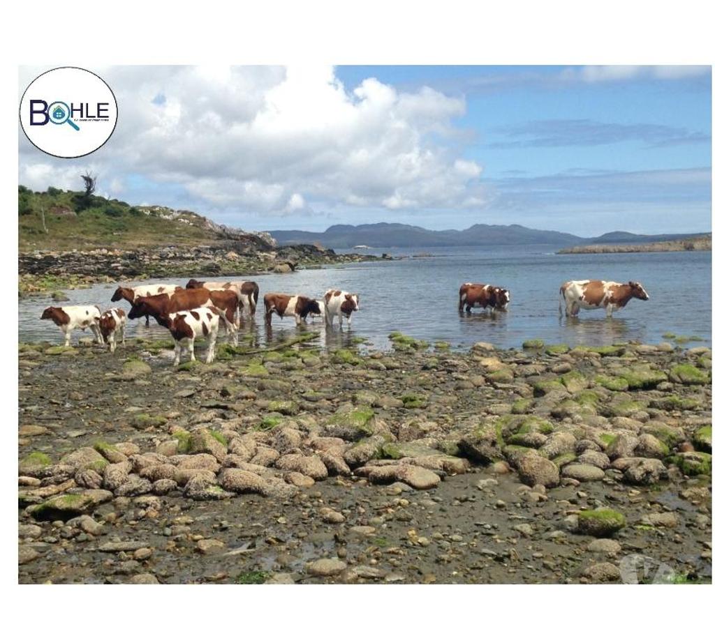 Parcelas en Venta Aisén Guaitecas - Fotos de VENDO BAHIA LOW