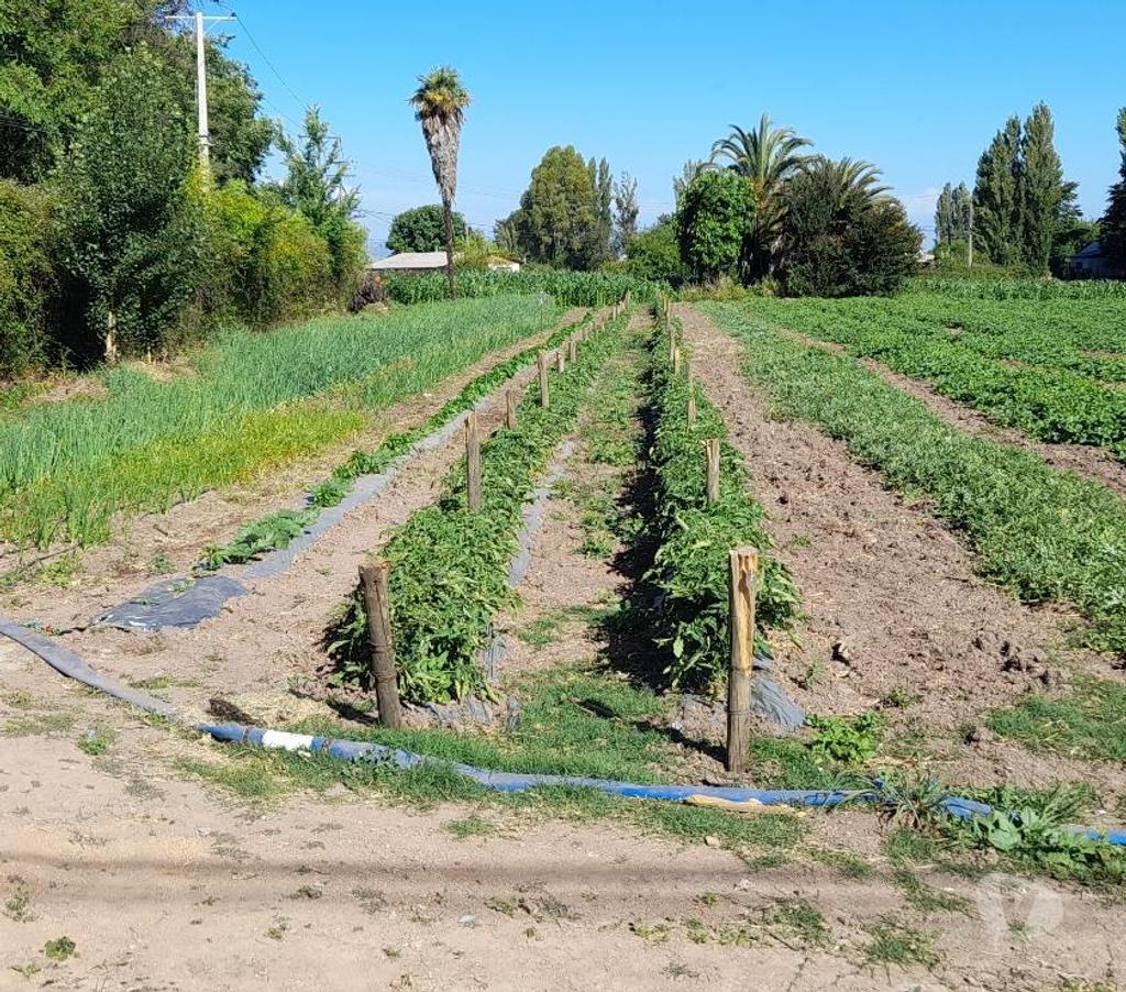 Parcelas en Venta Colchagua Santa Cruz - Fotos de Vendo terreno 8.600m2 apto para negocio ciudad Santa Cruz
