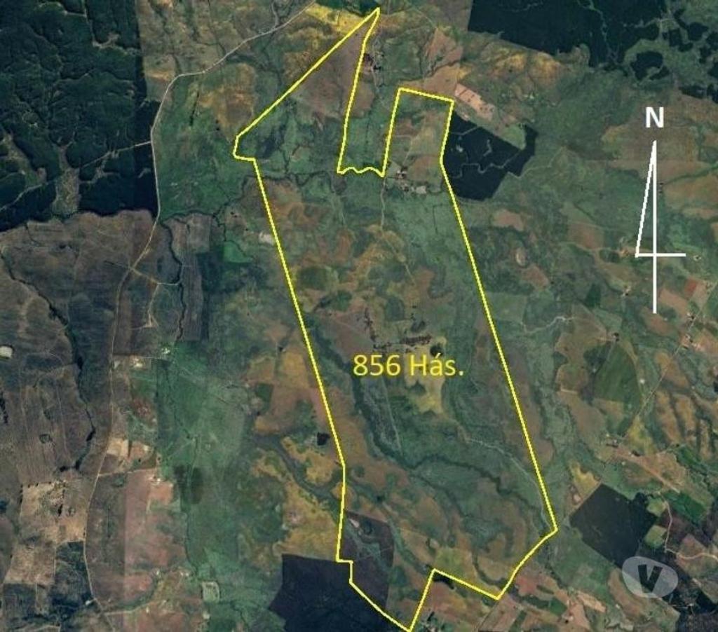 Venta de Haciendas Cauquenes Cauquenes - Fotos de Muy Económico Campo de 856 hás en Cauquenes