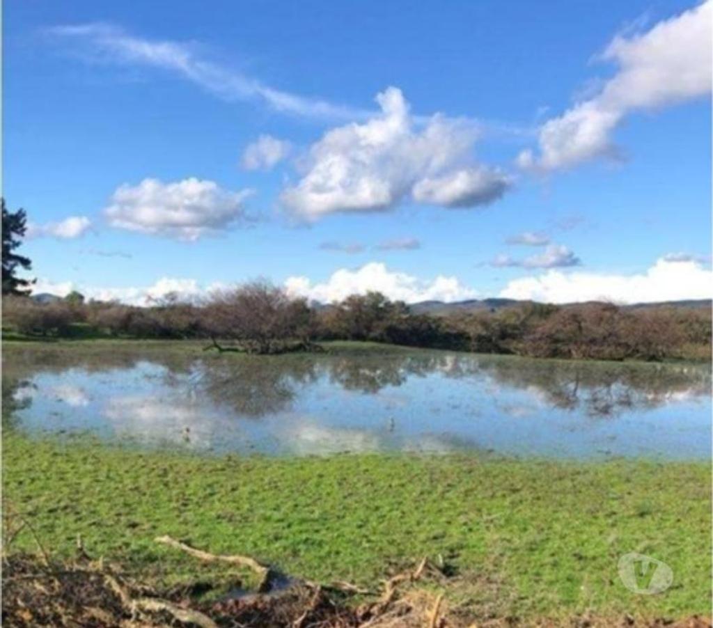 Venta de Haciendas Cauquenes Cauquenes - Fotos de Muy Económico Campo de 856 hás en Cauquenes