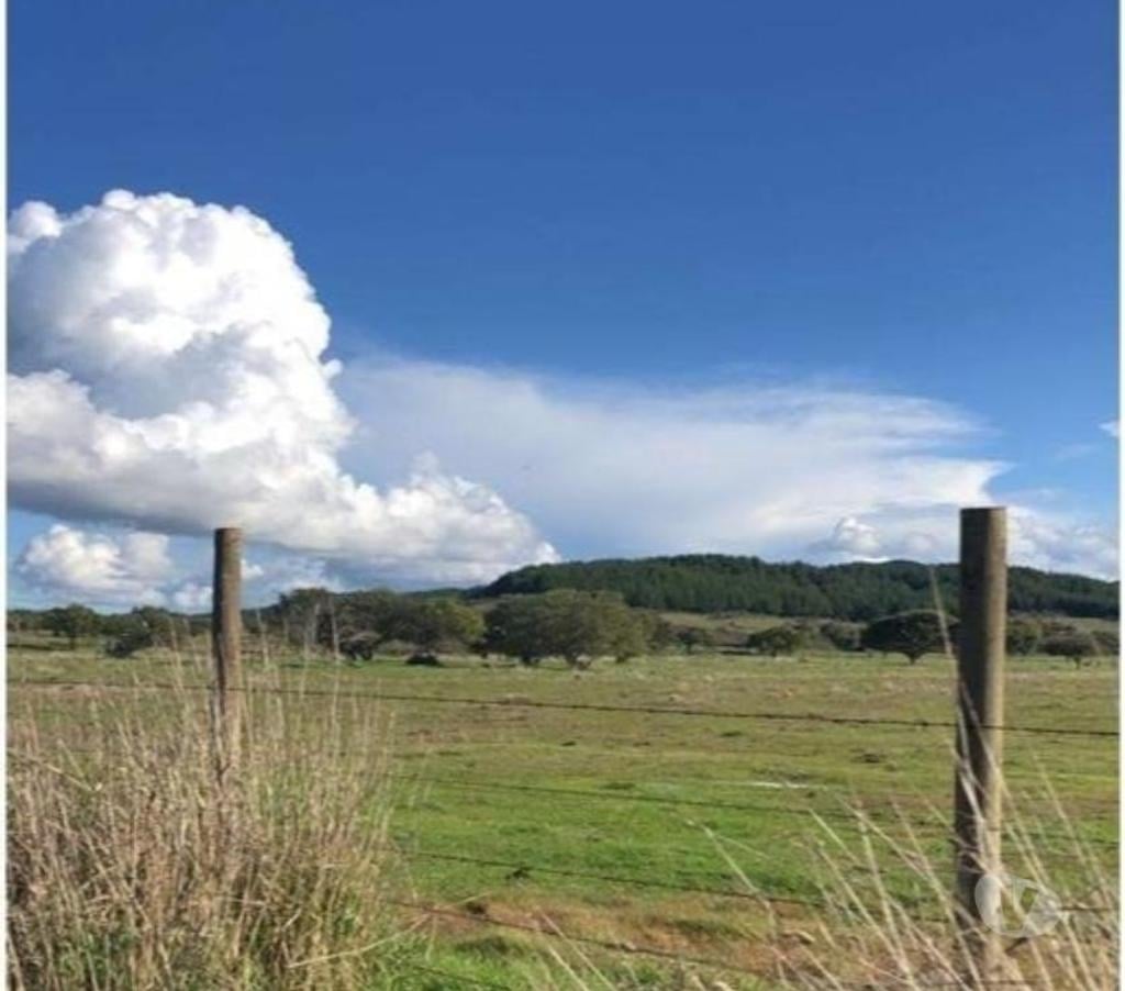 Venta de Haciendas Cauquenes Cauquenes - Fotos de Muy Económico Campo de 856 hás en Cauquenes