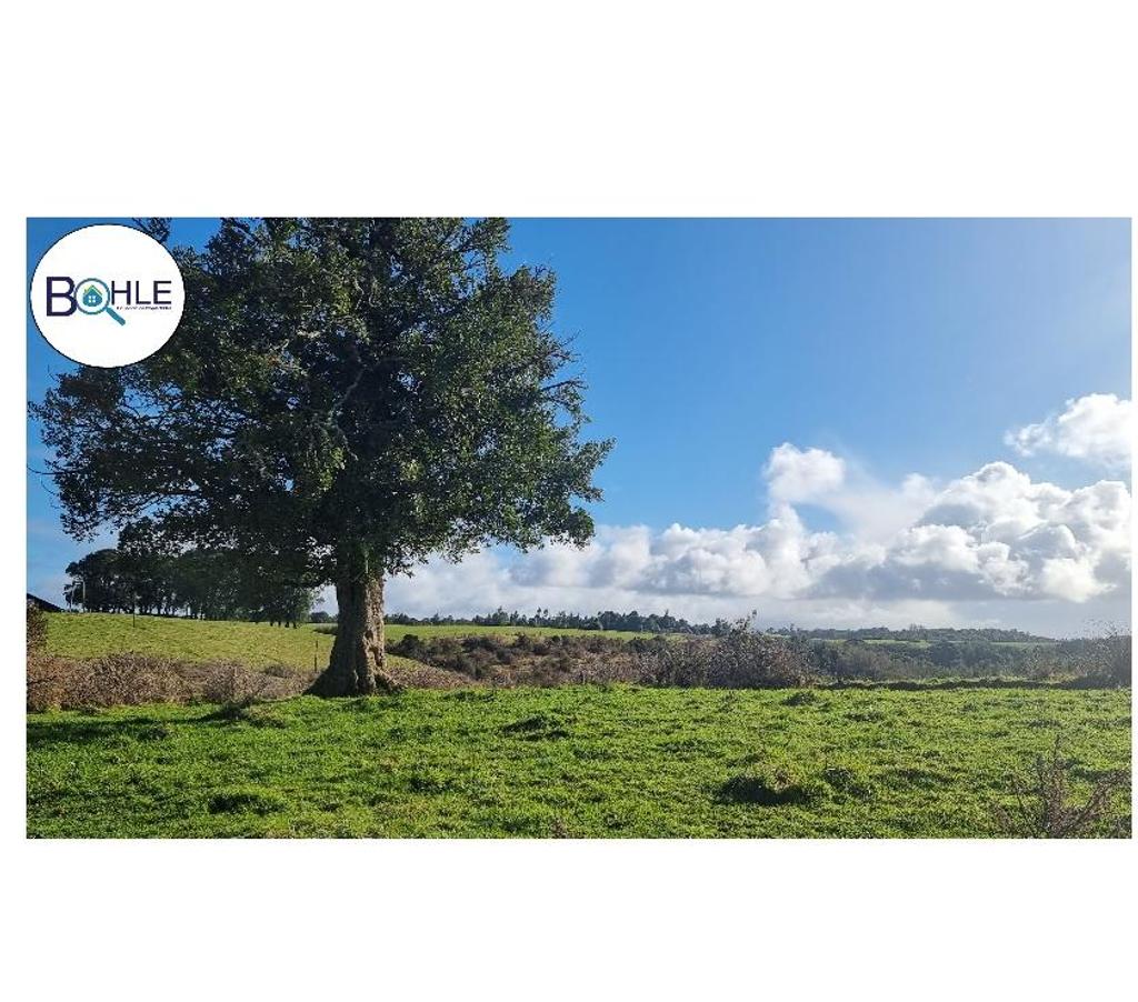 Venta de Haciendas Llanquihue Los Muermos - Fotos de VENDO - CAMPO 245 HA EN LOS MUERMOS