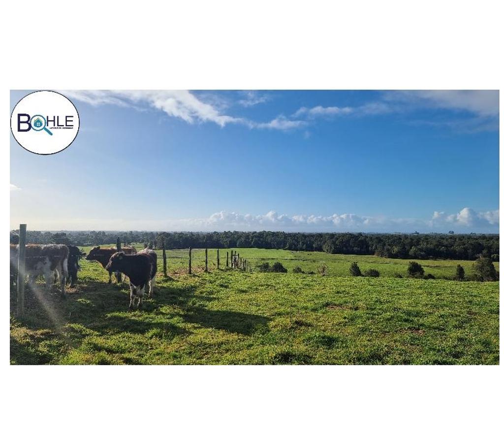 Venta de Haciendas Llanquihue Los Muermos - Fotos de VENDO - CAMPO 245 HA EN LOS MUERMOS