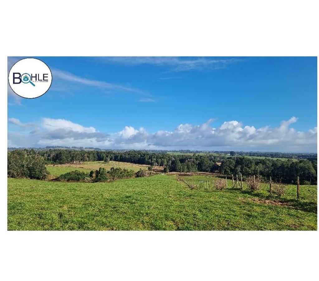 Venta de Haciendas Llanquihue Los Muermos - Fotos de VENDO - CAMPO 245 HA EN LOS MUERMOS