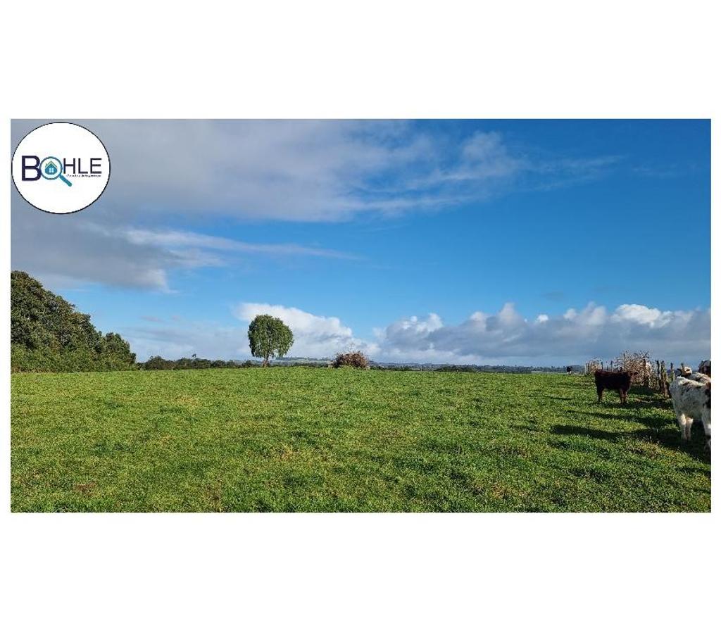 Venta de Haciendas Llanquihue Los Muermos - Fotos de VENDO - CAMPO 245 HA EN LOS MUERMOS