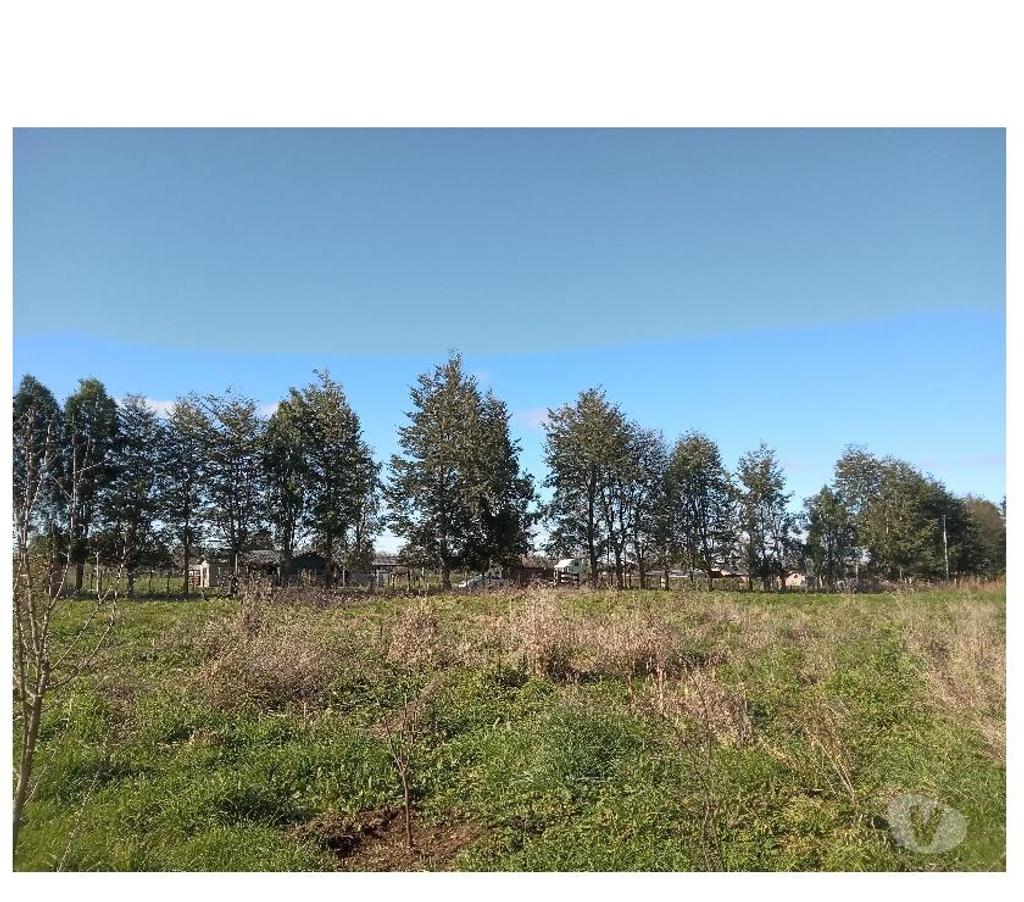 Parcelas en Venta Osorno Osorno - Fotos de VENDO PARCELA EN OSORNO