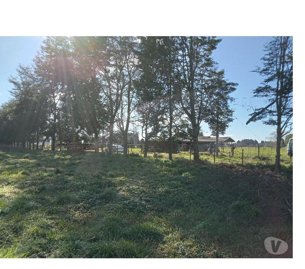 Parcelas en Venta Osorno Osorno - Fotos de VENDO PARCELA EN OSORNO