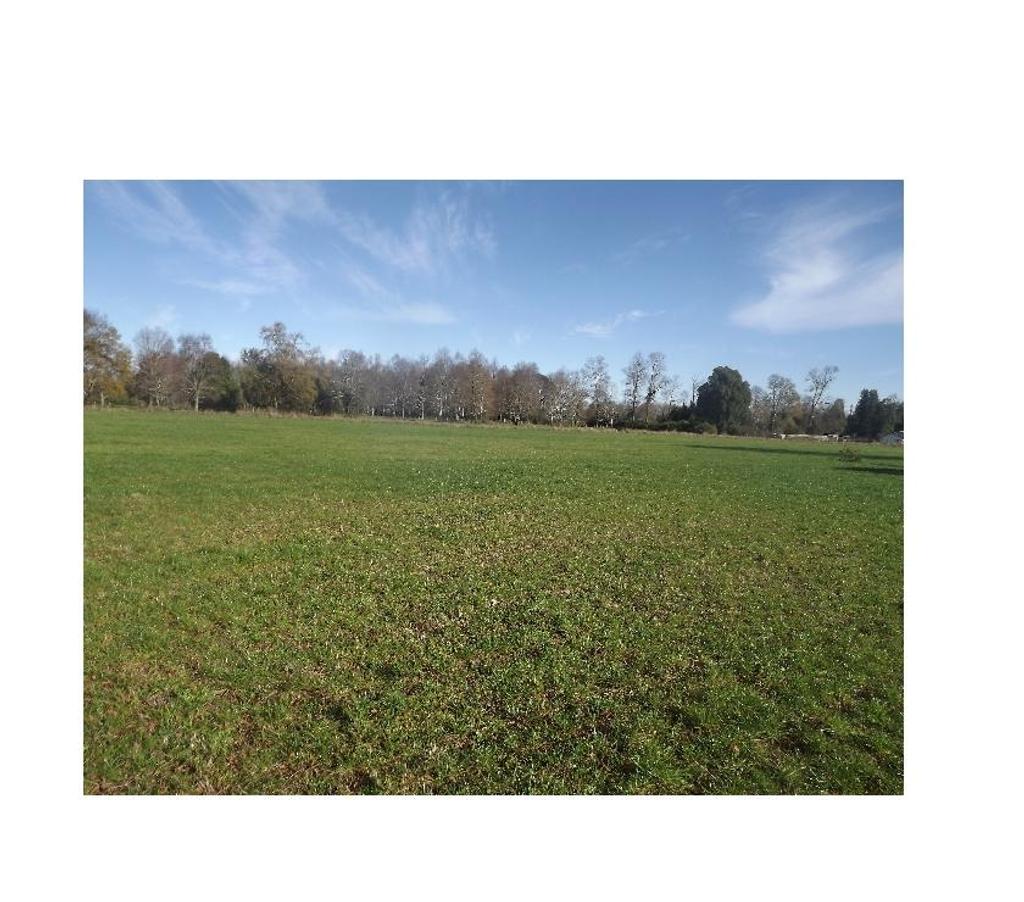 Parcelas en Venta Valdivia Paillaco - Fotos de Parcelas de 5000m2