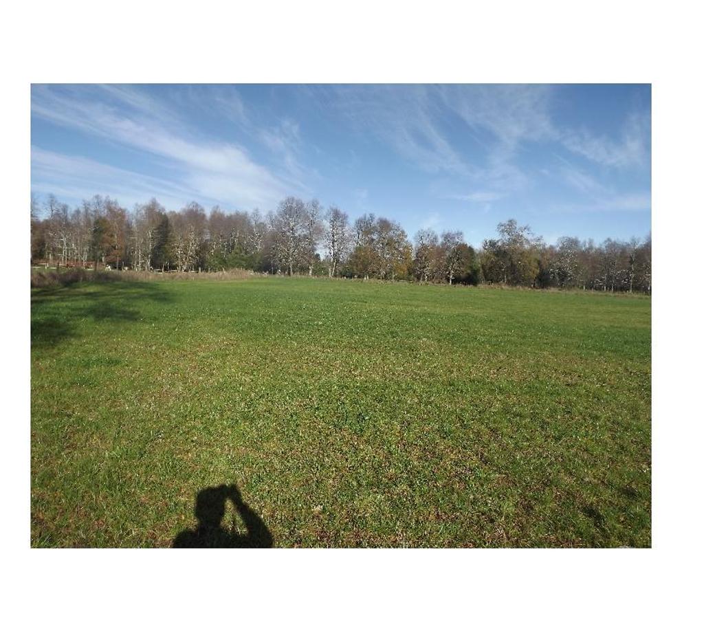 Parcelas en Venta Valdivia Paillaco - Fotos de Parcelas de 5000m2