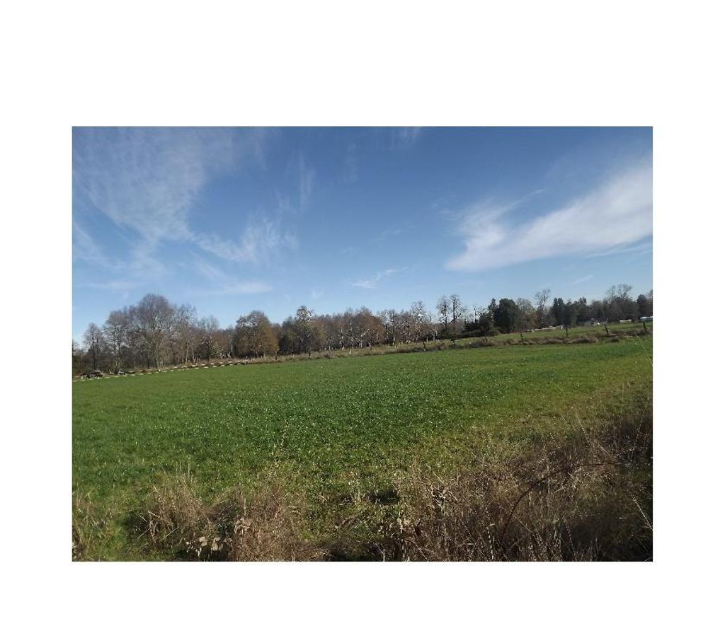 Parcelas en Venta Valdivia Paillaco - Fotos de Parcelas de 5000m2
