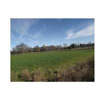 Fotos de Parcelas de 5000m2