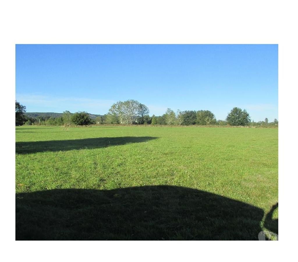 Parcelas en Venta Valdivia Máfil - Fotos de PARCELA DE 5000M2