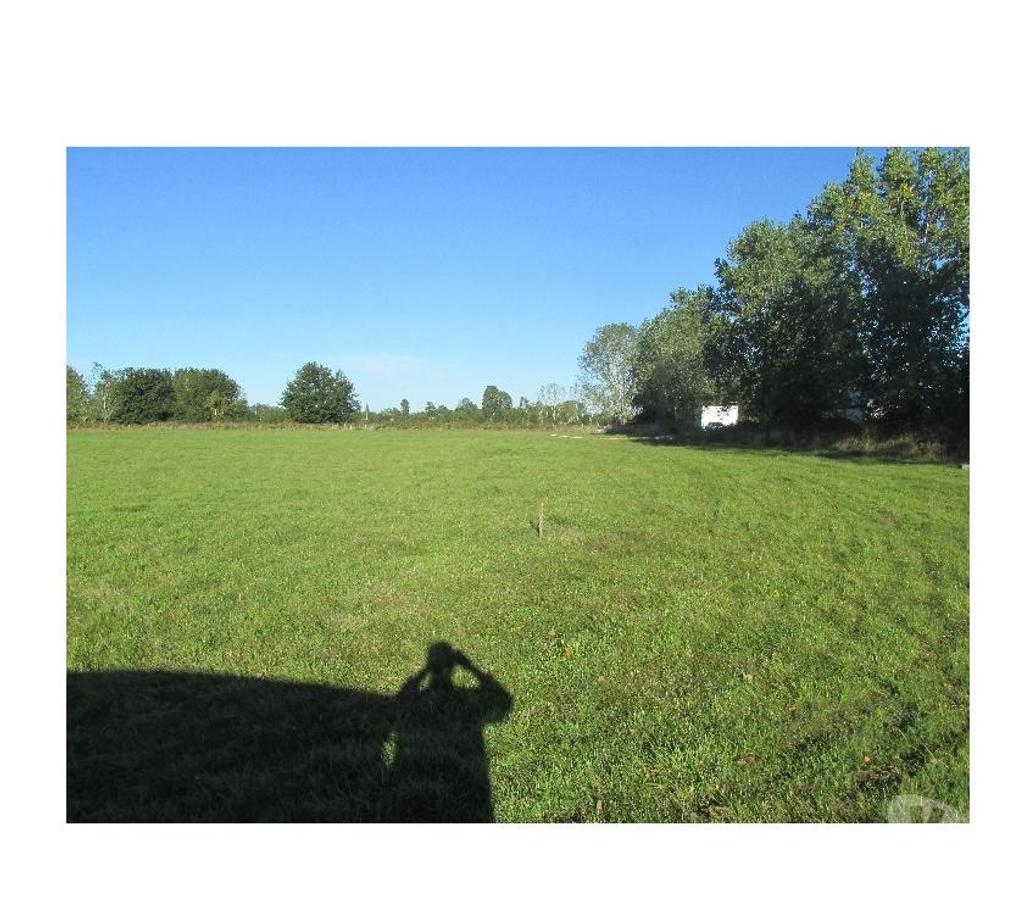 Parcelas en Venta Valdivia Máfil - Fotos de PARCELA DE 5000M2