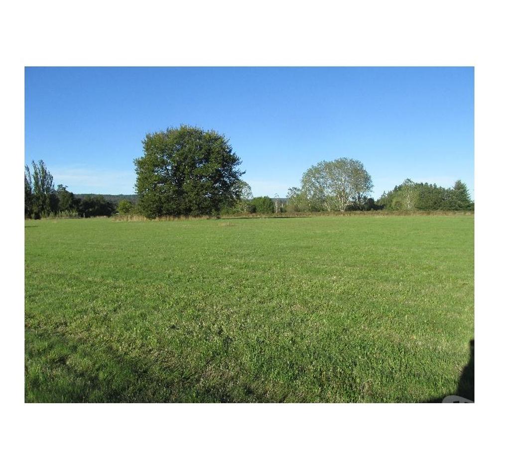 Parcelas en Venta Valdivia Máfil - Fotos de PARCELA DE 5000M2