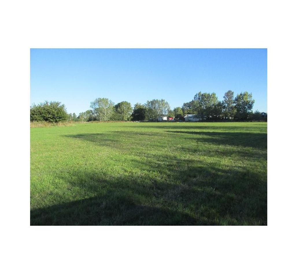 Parcelas en Venta Valdivia Máfil - Fotos de PARCELA DE 5000M2
