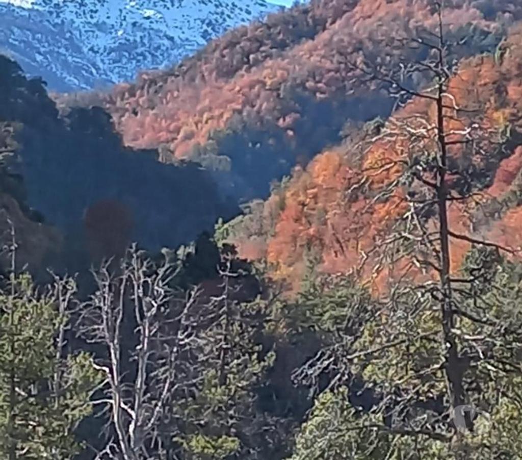 Venta de Haciendas Curicó Teno - Fotos de Precioso Campo de 464 Hás Precordillerano en Teno-Curicó
