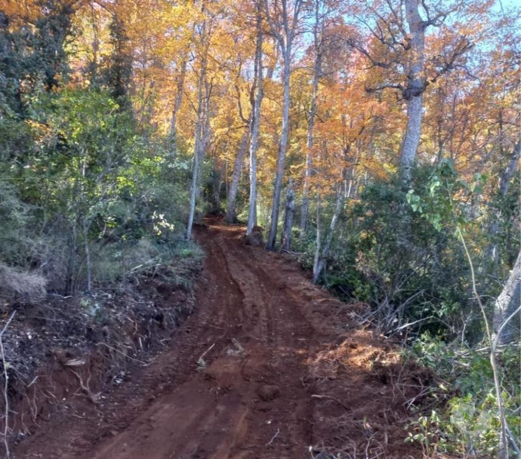 Venta de Haciendas Curicó Teno - Fotos de Precioso Campo de 464 Hás Precordillerano en Teno-Curicó