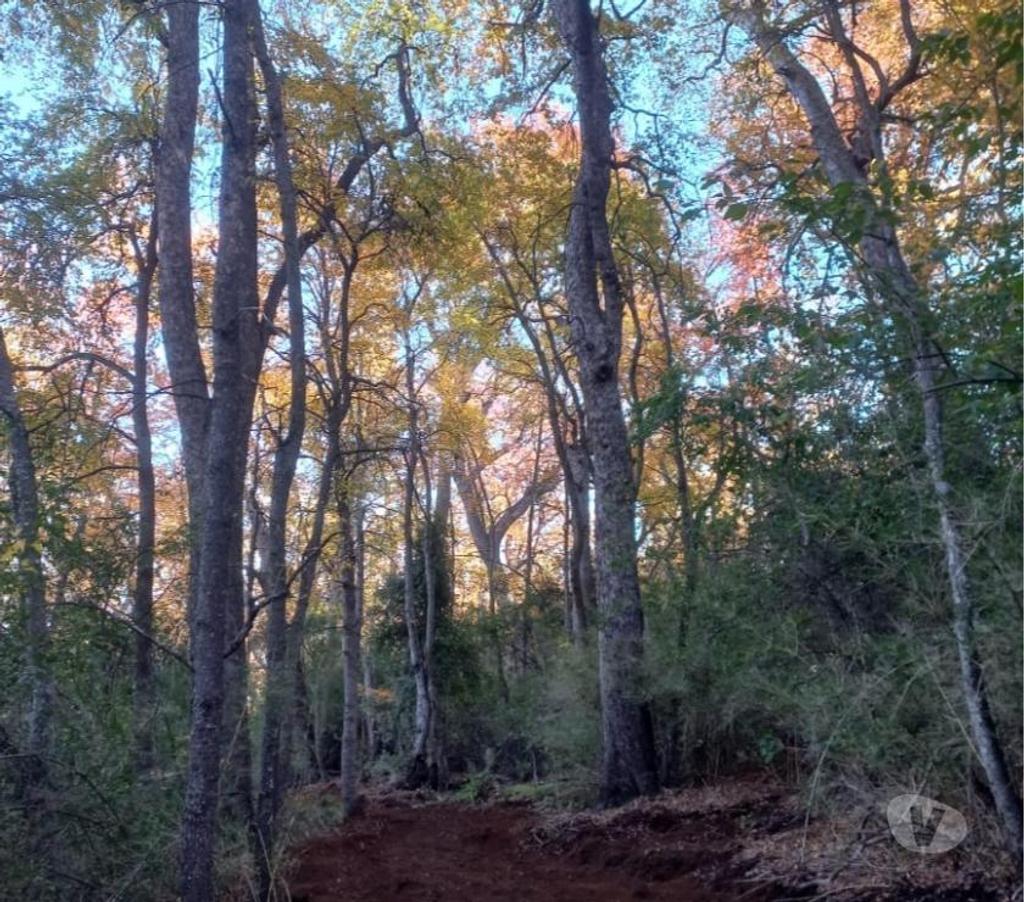 Venta de Haciendas Curicó Teno - Fotos de Precioso Campo de 464 Hás Precordillerano en Teno-Curicó