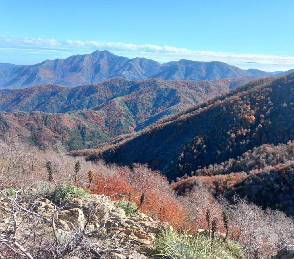 Venta de Haciendas Curicó Teno - Fotos de Precioso Campo de 464 Hás Precordillerano en Teno-Curicó