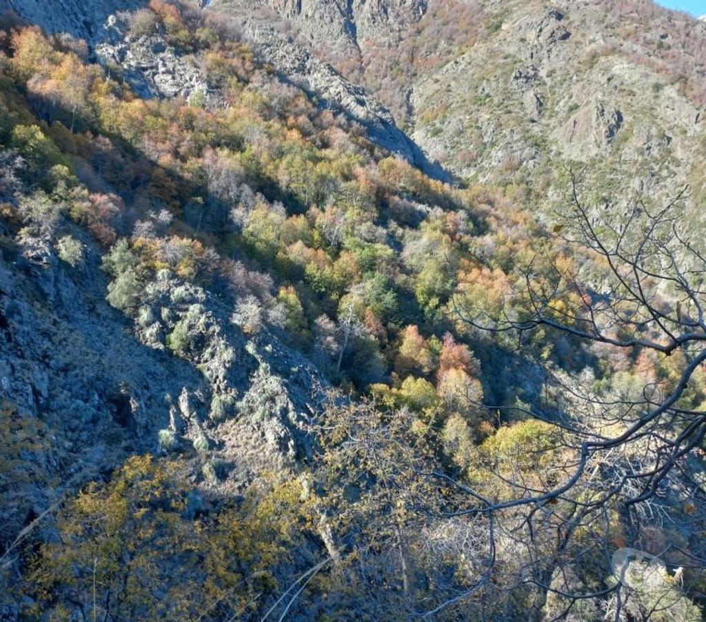Venta de Haciendas Curicó Teno - Fotos de Precioso Campo de 464 Hás Precordillerano en Teno-Curicó