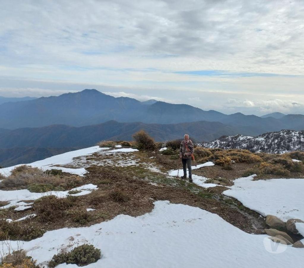 Venta de Haciendas Curicó Teno - Fotos de Precioso Campo de 464 Hás Precordillerano en Teno-Curicó